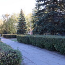 Осеннее преображение: на территории центра стартовал месячник благоустройства